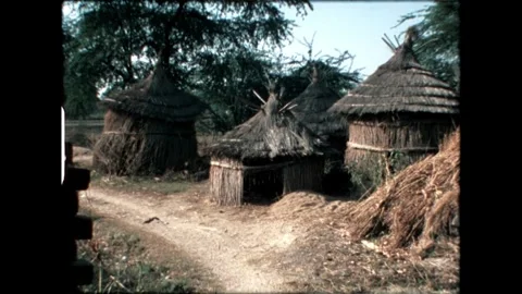 Traditional Mud Huts Stock Footage 276292798