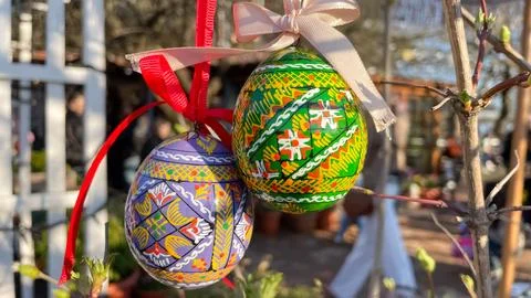 Traditional painted Easter egg with white ribbon hanging on budding tree br.. Fotos de archivo