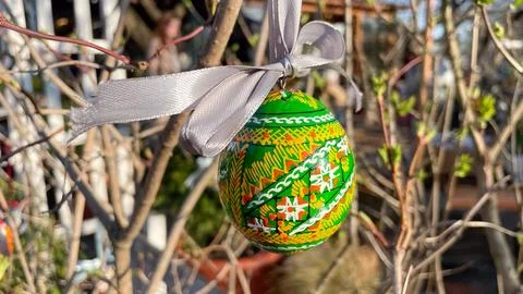 Traditional painted Easter egg with white ribbon hanging on budding tree br.. 库存照片