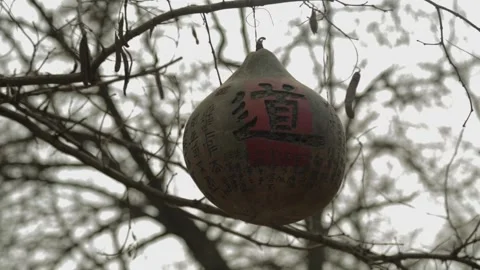 Traditional Painted Gourd Hanging from Tree in 798 Art District Beijing Outdoors Stock Footage 341714940
