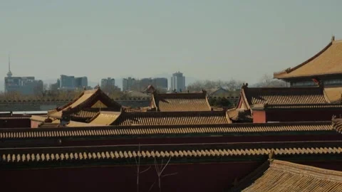 Traditional Palace Rooftops Overlook Modern Beijing Skyline in Daylight Stock Footage 345819863