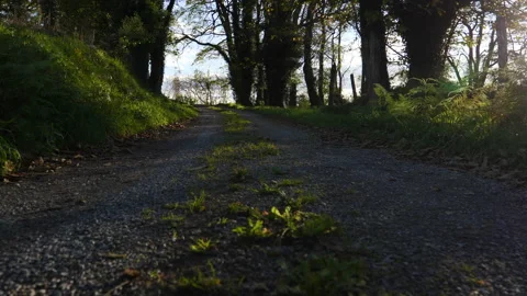 Traditional path Vídeo Stock 143032687