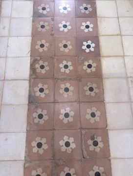 Traditional Patterned Floor Tiles in Rustic Style Foto stock