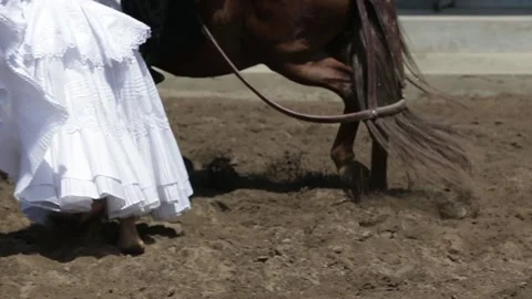 Traditional Peruvian dance, Peruvian man on a horse, a woman in a white dress Vídeo Stock 236938631