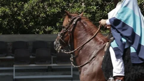 Traditional Peruvian dance, Peruvian man on a horse, a woman in a white dress Vídeo Stock 236938877