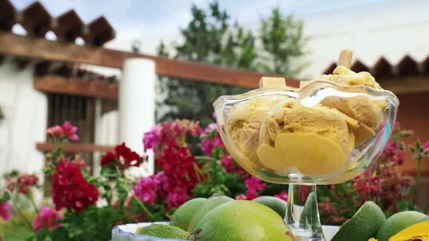 Traditional Peruvian Lucuma Ice Cream Served in Glass Bowl Stock Footage 341439366