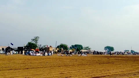 Traditional Polo game 動画素材 238905613