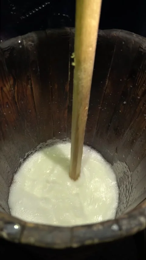 Traditional Preparation of Fermented Mare's Milk (Kumis) Stock Footage 338362001