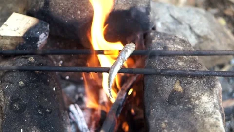 Traditional process of cooking fish on an outdoor stone stove using firewood Stock Footage 344329215