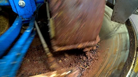 Traditional process of extraction of Extra Virgin Olive oil with granite stones. Stock Footage 91752367