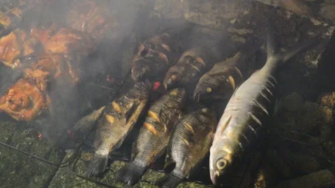 The traditional process of smoking grilled fish at night. Grilled fish smoking Stock Footage 296929675