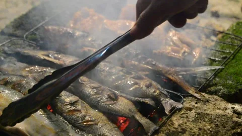 The traditional process of smoking grilled fish at night. Grilled fish smoking Stock Footage 296929796