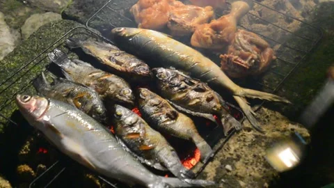 The traditional process of smoking grilled fish at night. Grilled fish smoking Stock Footage 296929930