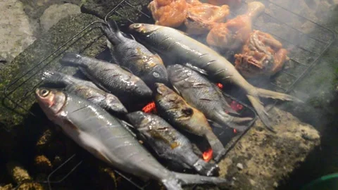 The traditional process of smoking grilled fish at night. Grilled fish smoking Stock Footage 296929958