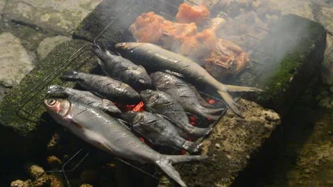 The traditional process of smoking grilled fish at night. Grilled fish smoking Stock Footage 296929994