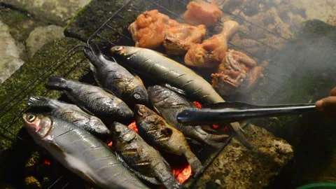 The traditional process of smoking grilled fish at night. Grilled fish smoking Stock Footage 296930006