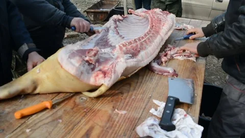Traditional processing of pig meat in the open air in Serbia. Stock Footage 72856805