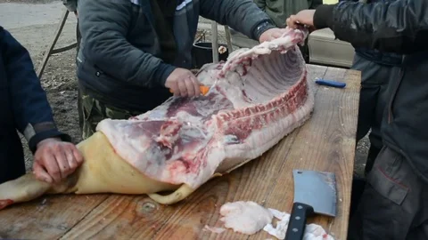 Traditional processing of pig meat in the open air in Serbia. Stock Footage 72857175