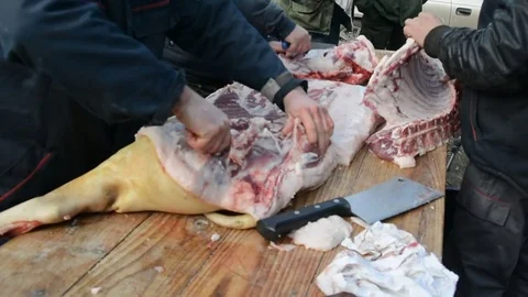 Traditional processing of pig meat in the open air in Serbia. Stock Footage 73167161