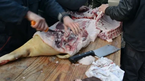 Traditional processing of pig meat in the open air in Serbia. Stock Footage 73167415