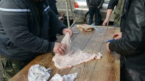 Traditional processing of pig meat in the open air in Serbia. Stock Footage 73497978