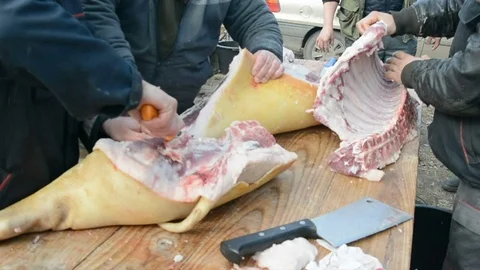Traditional processing of pig meat in the open air in Serbia. Stock Footage 73836248