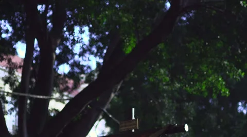 Traditional processions of Easter in Malaga, Spain Stock Footage 57521428