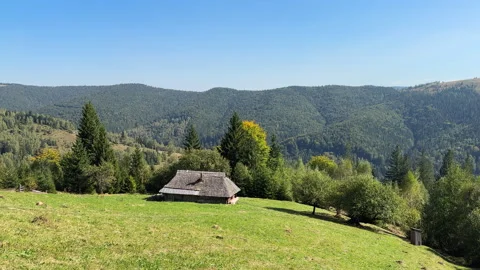Traditional quiet forest clearing with a rustic wooden cabin and serene Stock Footage 285514294