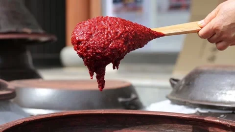 Traditional red pepper paste, traditional gochujang 動画素材 310152622