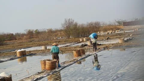 Traditional salt making Foto stock