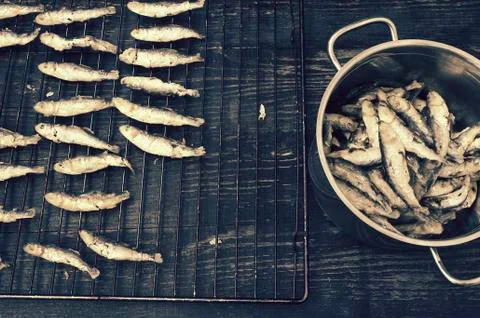 Traditional sardines Stock Photos