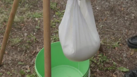 Traditional sheep cheese making – hanging wrapped cheese to drain whey Stock Footage 314551929