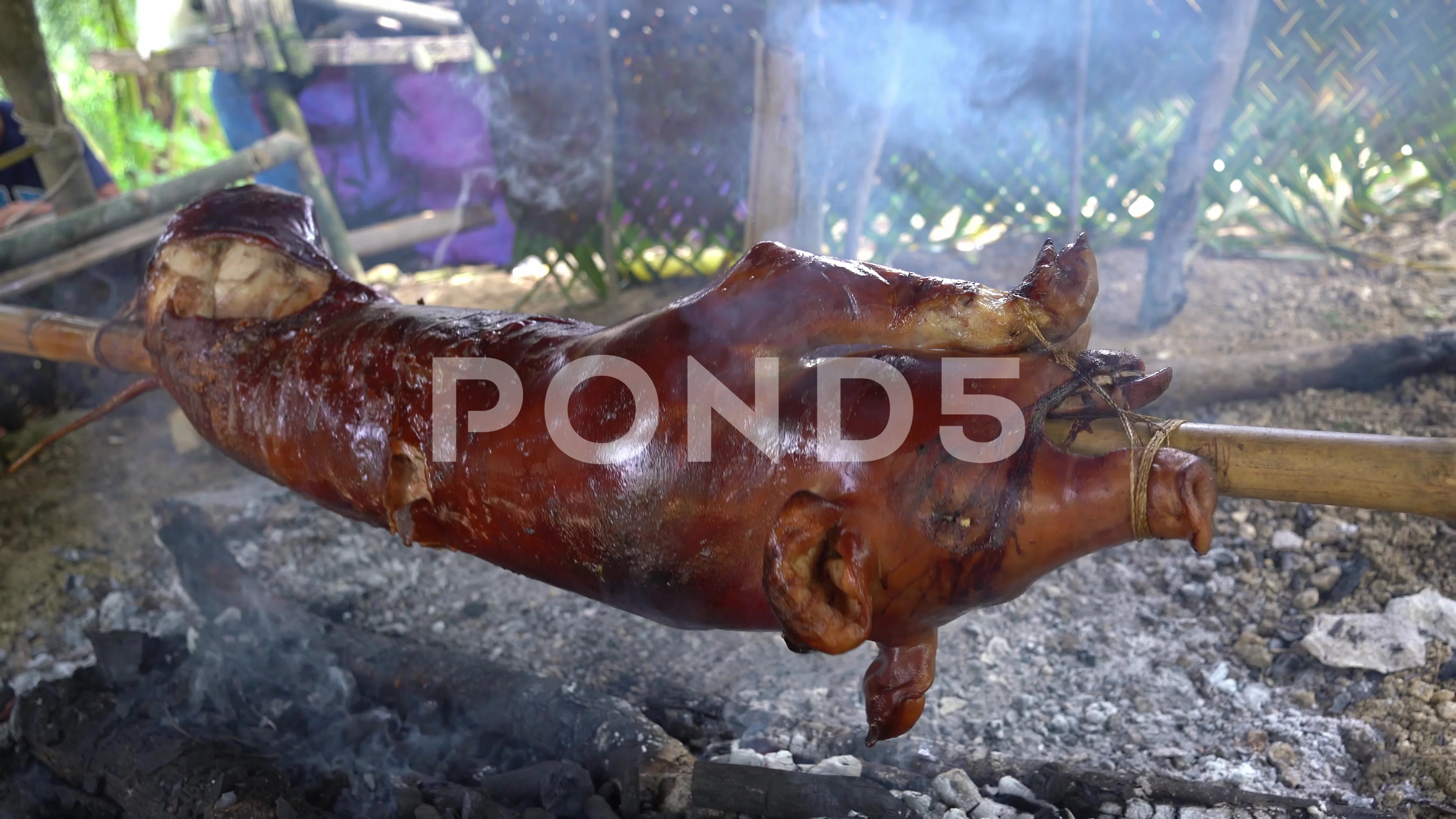 Traditional spit roasted pig, Cebu, Philippines