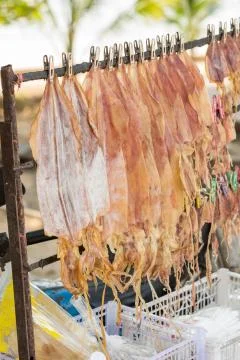 Traditional squids drying under the sun in a idyllic fishermen village ,Thailand Stock Photos