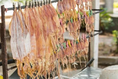 Traditional squids drying under the sun in a idyllic fishermen village Stock Photos