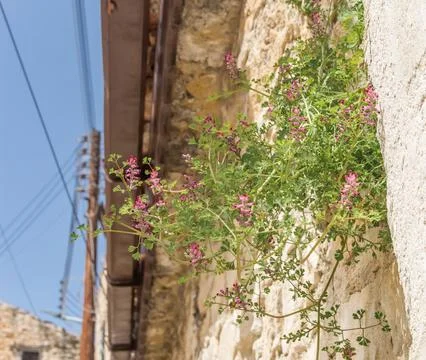 Traditional stone architectural elements along a street in Lofou village, Cyp Stock Photos