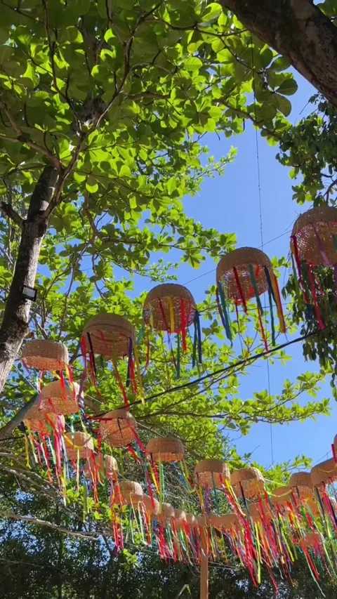 Traditional Straw Basket Decorations Under Trees on Itaparica Island 動画素材 343440941