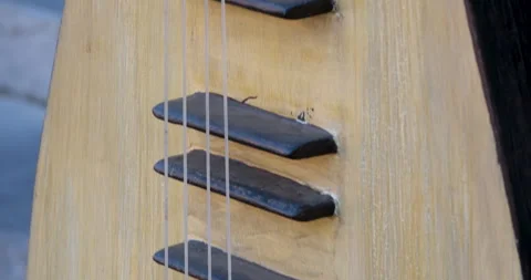 Traditional string instrument with a teardrop shape, featuring a wooden body and Stock Footage 295160878