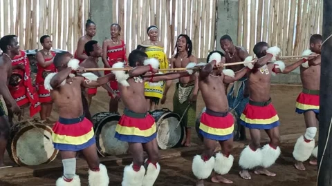 м*е様 セントポーリア PT Reed Dance Zulu reed dance ceremonial participants hi-res stock