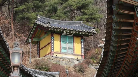 Traditional temple in mountain, temple in forest Stock-Footage 310079892