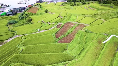 Traditional Terraced Rice Fields of Japan from Above Stock Footage 335573181