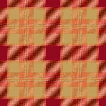 A traditional textile surface with madras plaid checks and a tactile woven fa Stock Illustration