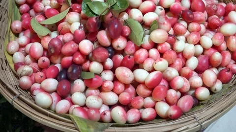 Traditional thai fruit Stock Footage 99132324
