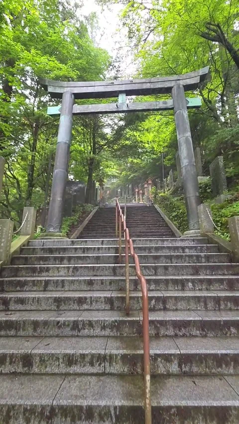 Traditional Torii Gate and Stone Steps at Japanese Shinto Shrine Vídeo Stock 343732573