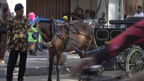 Traditional transportation Stock Footage 170655797