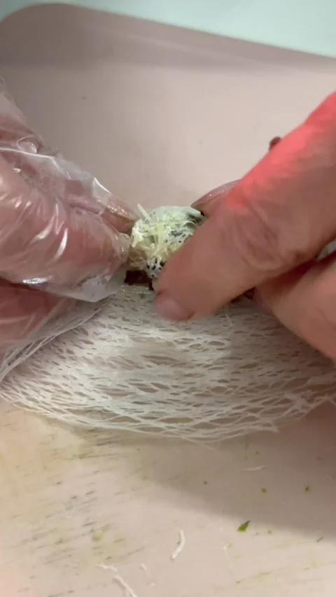 Traditional Vietnamese spring roll preparation by hand Video stock 327844558