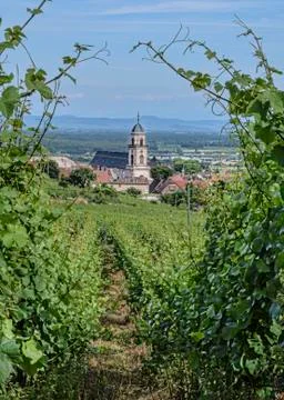 Traditional village from between rows of grape vines Stock Photos