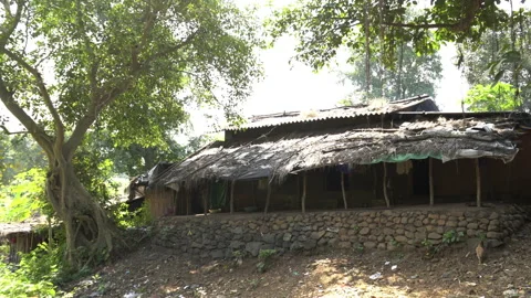 Traditional village huts in rural IndiaStock Footage