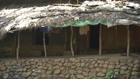 Traditional village huts in rural IndiaStock Footage