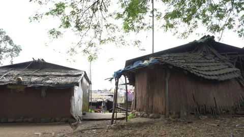 Traditional village huts in rural IndiaStock Footage